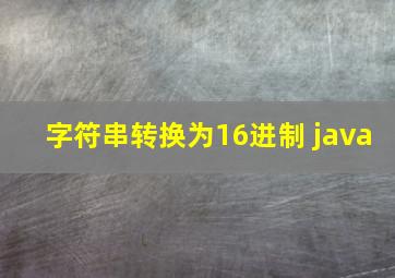 字符串转换为16进制 java